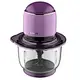 Electric Food Processor